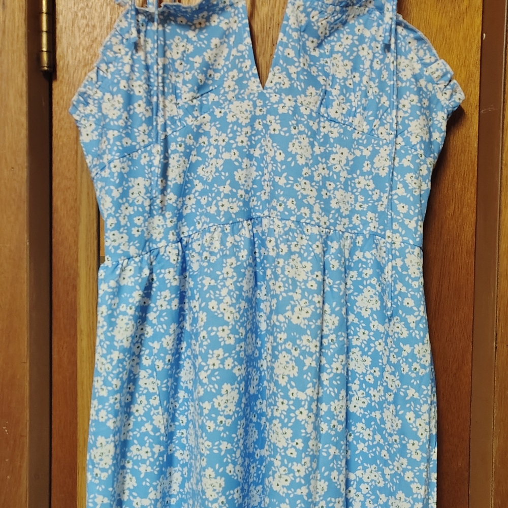Blue Floral Dress